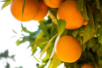 Spain Holidays by Sean Smyth (11-06-16) (1 of 77)