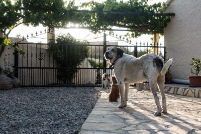 Spain Holidays by Sean Smyth (11-06-16) (2 of 77)