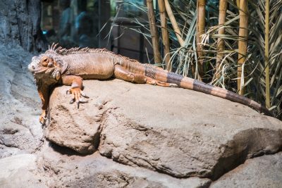 Spain Holidays by Sean Smyth (11-06-16) (20 of 77)