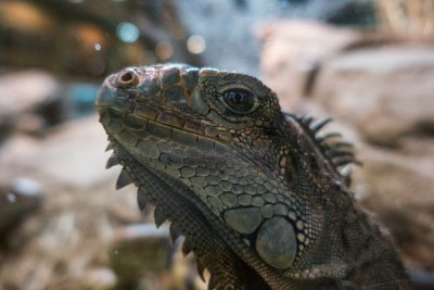 Spain Holidays by Sean Smyth (11-06-16) (21 of 77)