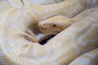 Spain Holidays by Sean Smyth (11-06-16) (22 of 77)