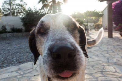 Spain Holidays by Sean Smyth (11-06-16) (3 of 77)