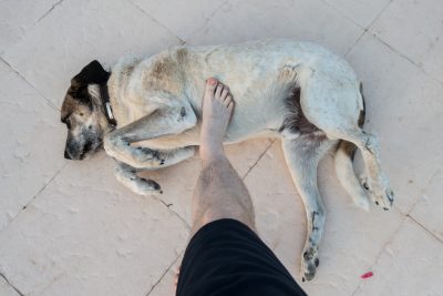 Spain Holidays by Sean Smyth (11-06-16) (5 of 77)