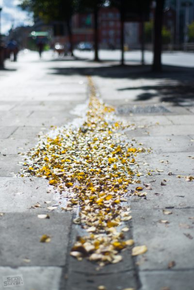 Dublin Photowalk by Sean Smyth (21-9-17) (9 of 13)